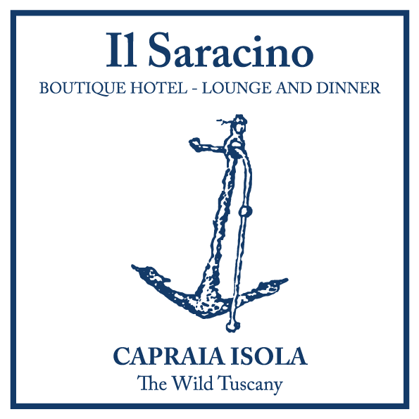 LOGO-NUOVO-SARACINO-2018-blu